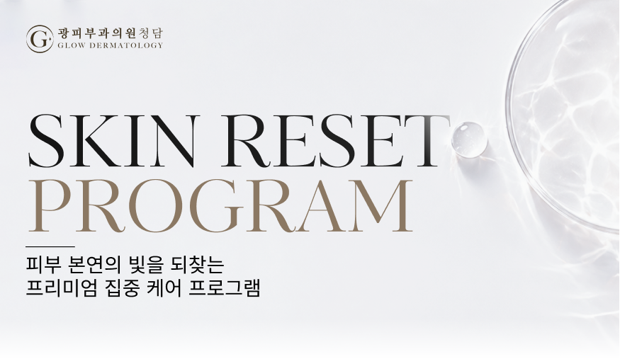 스킨 리셋 프로그램